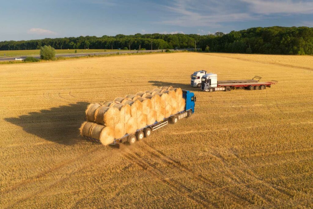 Special Transport Trans4you